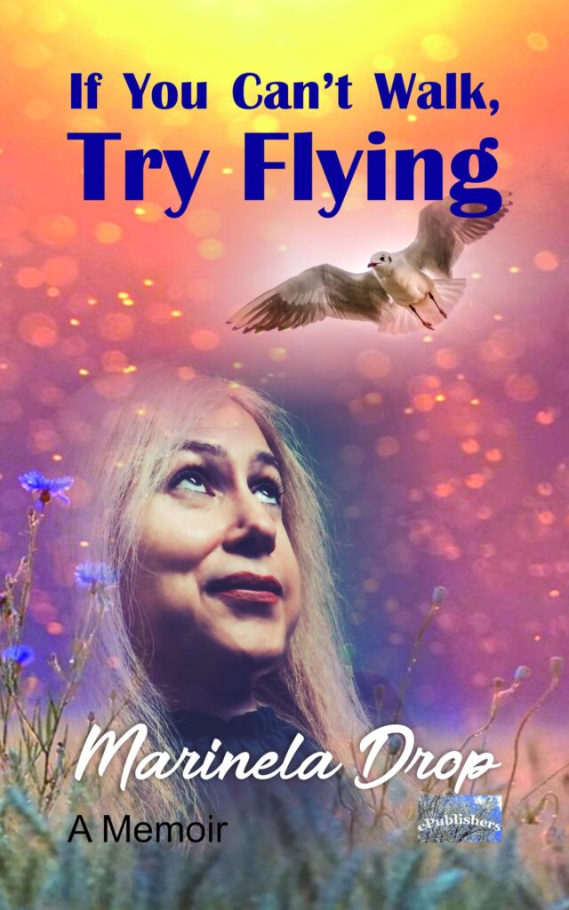 Book cover for If You Can’t Walk, Try Flying